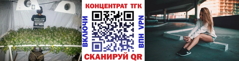 ТГК Wax  Короча 