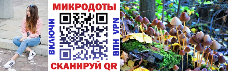 что такое наркотик блэк спрут ТОР Галлюциногенные грибы мицелий Короча